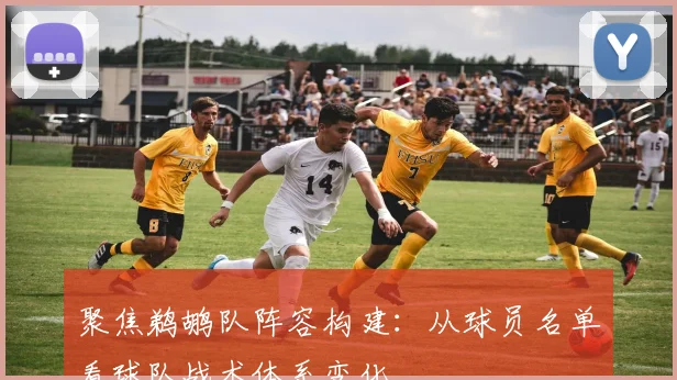 聚焦鹈鹕队阵容构建：从球员名单看球队战术体系变化