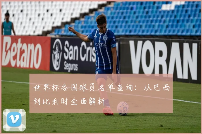 世界杯各国球员名单查询:从巴西到比利时全面解析