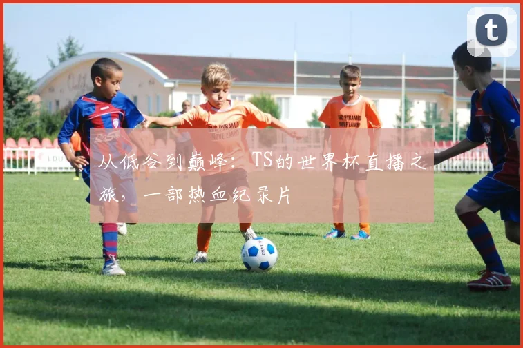 从低谷到巅峰：TS的世界杯直播之旅，一部热血纪录片