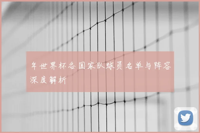 年世界杯各国家队球员名单与阵容深度解析