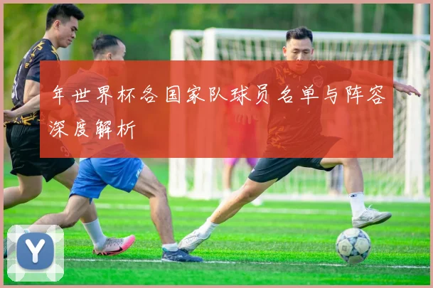 年世界杯各国家队球员名单与阵容深度解析